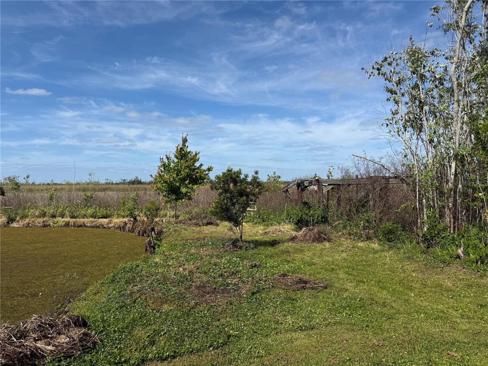 Image 6 of 21 For 4115 Polk City Road