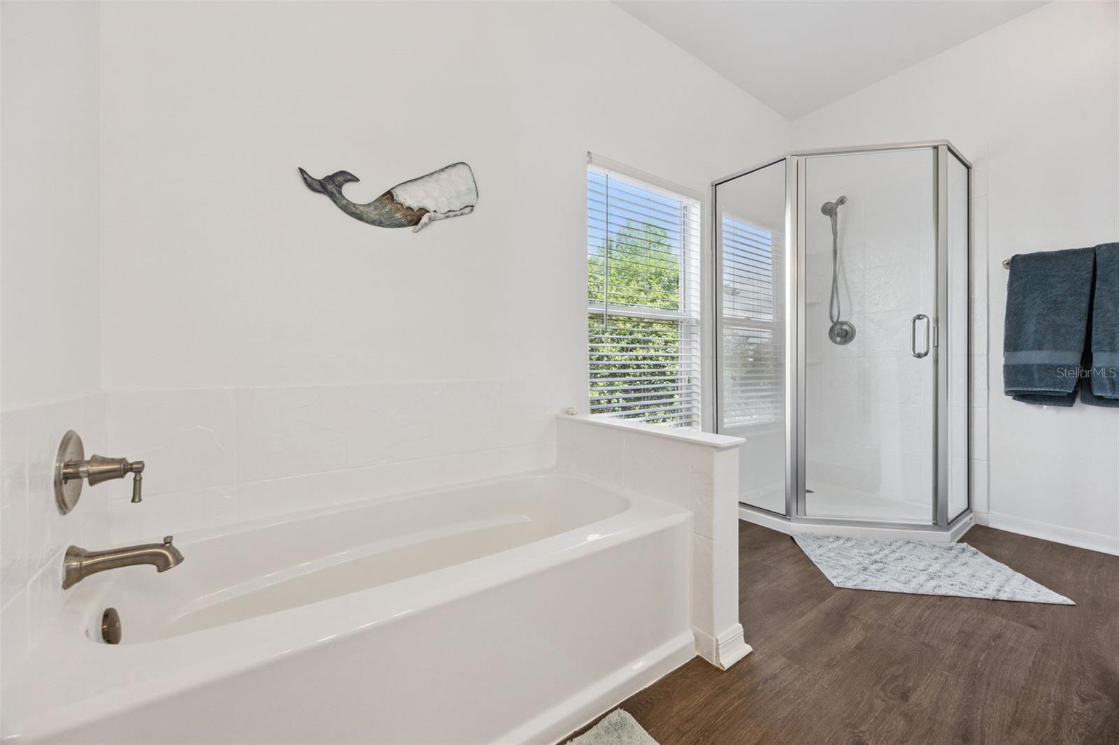 Image 36 of 59 For 137 Oak View Place