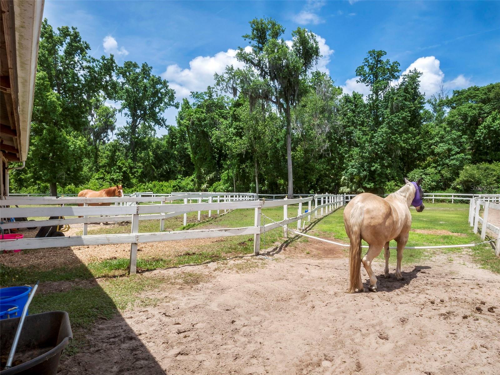 Image 61 of 62 For 106 Hidden Oak Drive