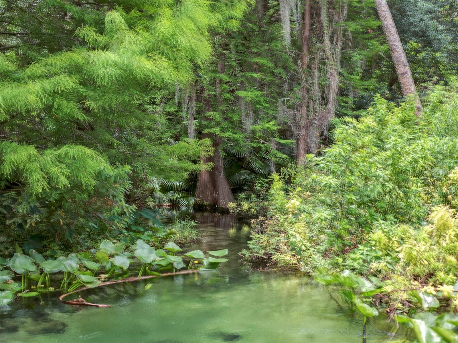 Image 62 of 62 For 106 Hidden Oak Drive