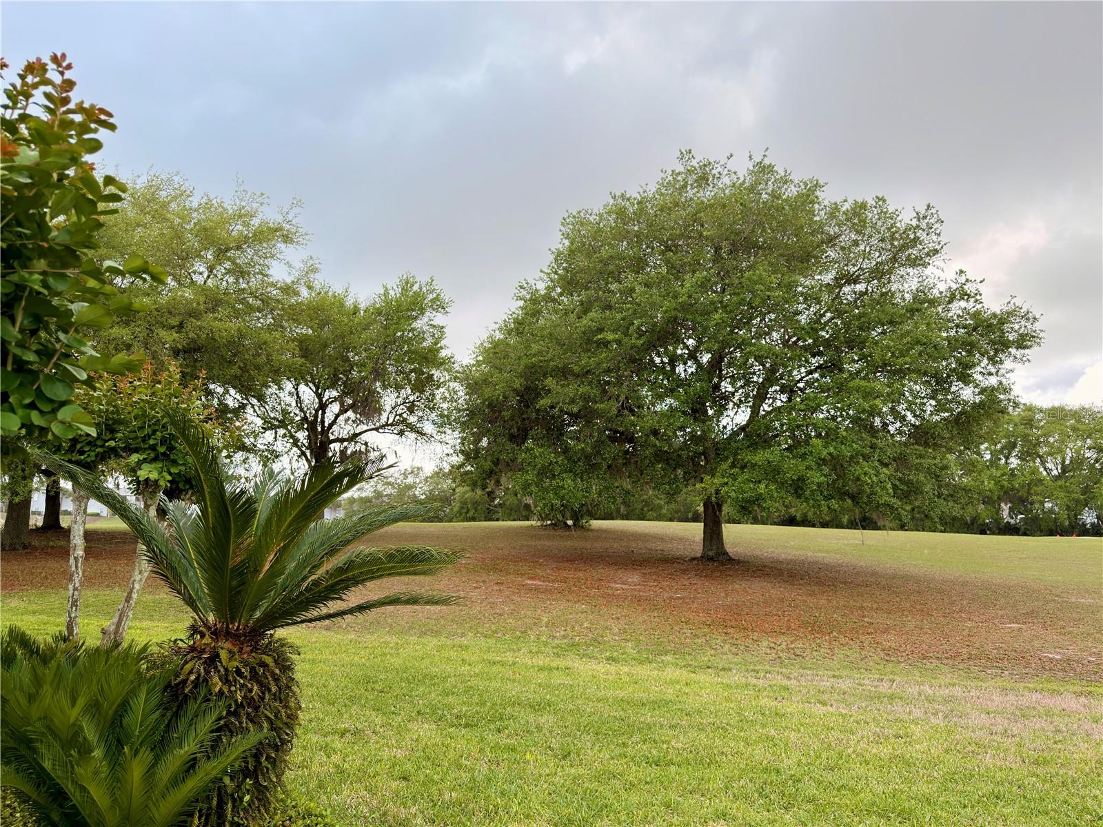 Image 66 of 70 For 494 Mile Post Court