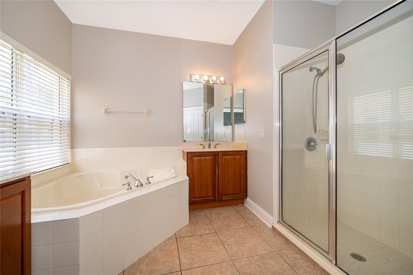 Image 30 of 40 For 6825 Dolce Street