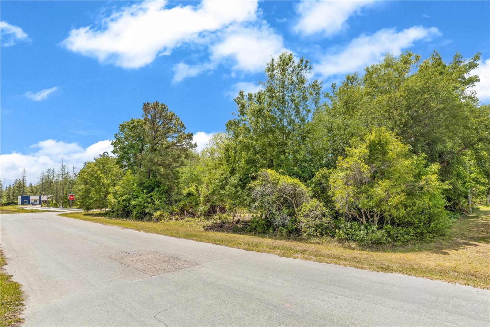 Image 8 of 9 For 0 Osborne Street