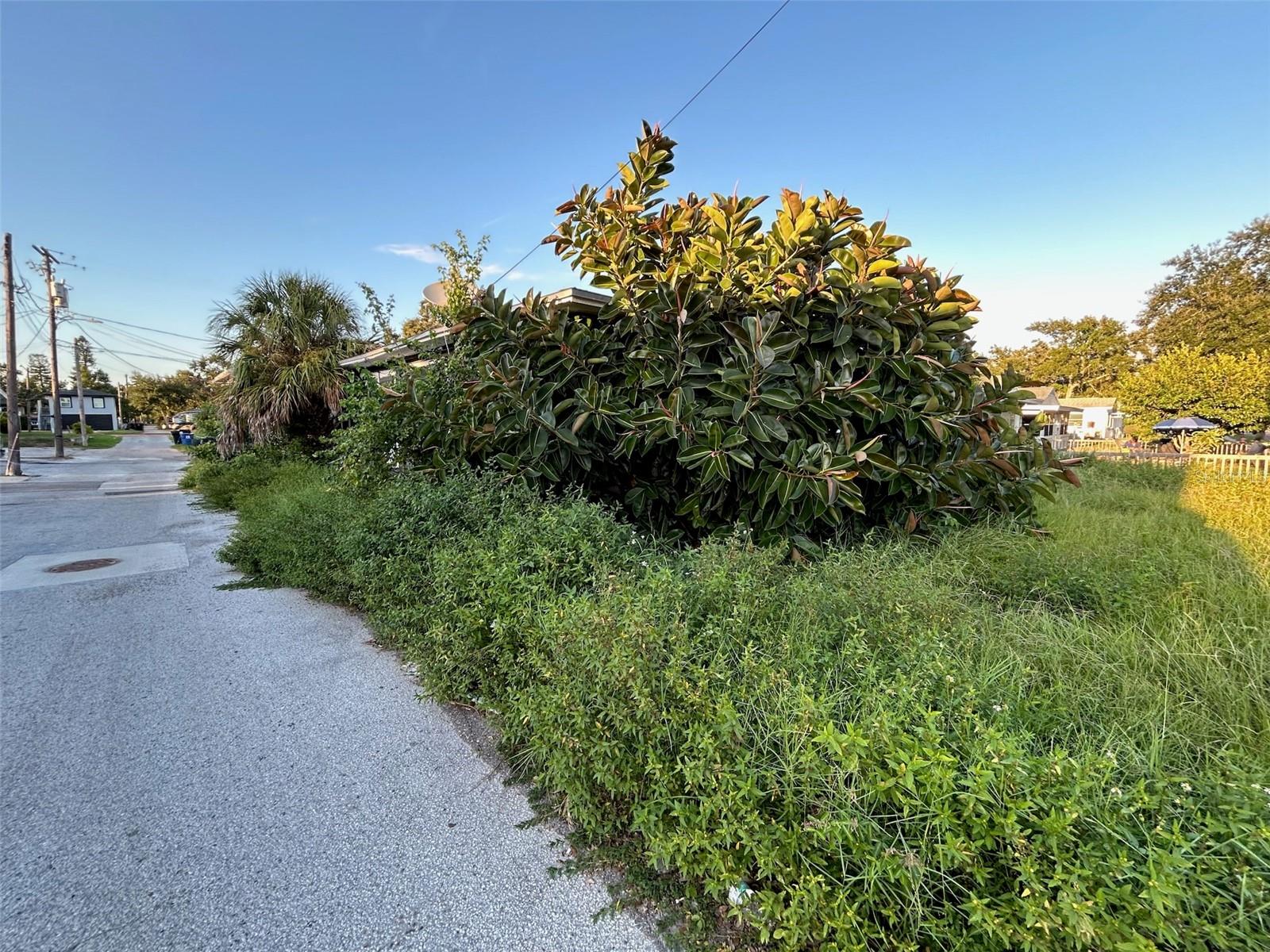 Image 15 of 55 For 877 22nd Avenue S