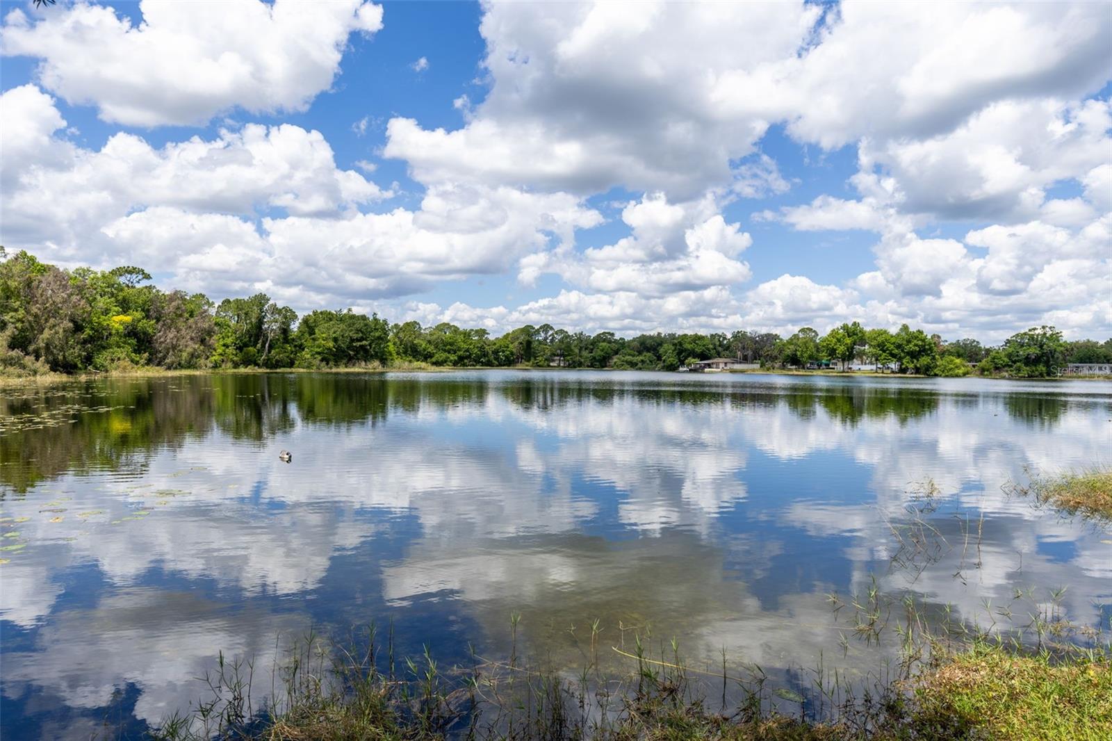 Image 27 of 36 For 620 Lake Drive