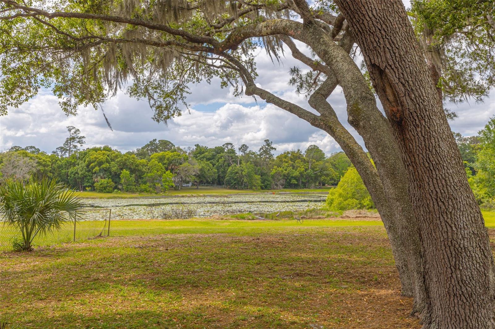 Image 30 of 33 For 205 Angeles Road