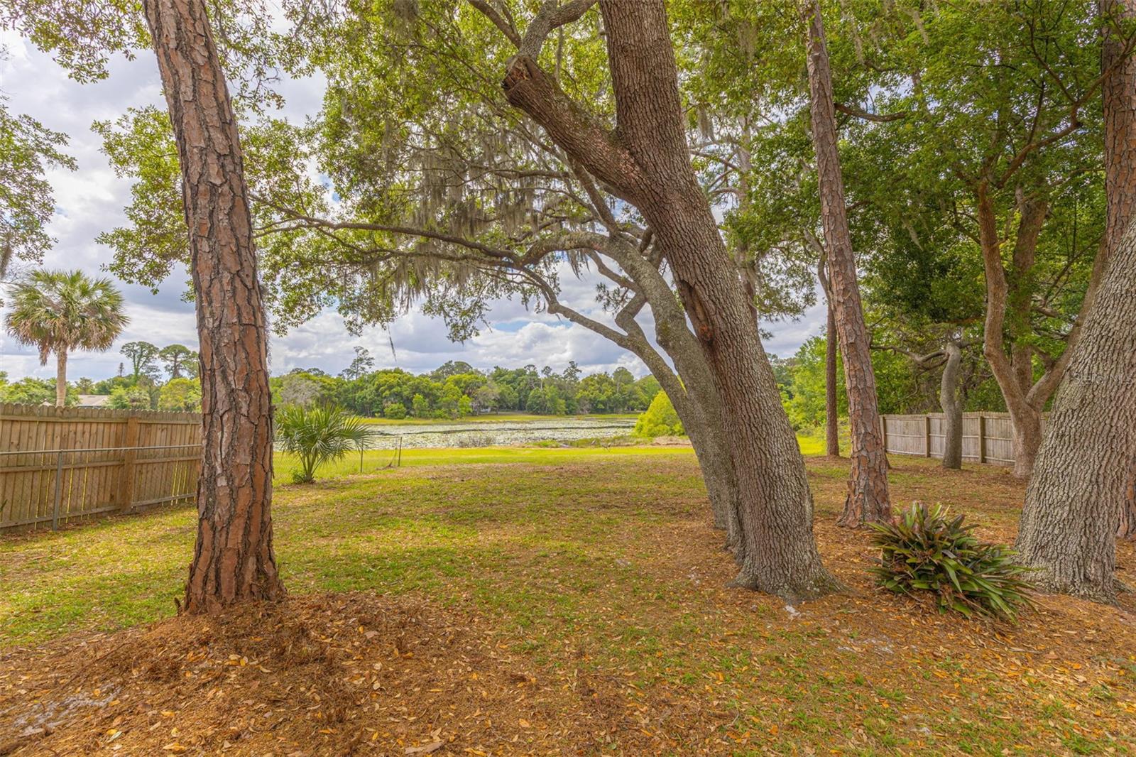 Image 31 of 33 For 205 Angeles Road