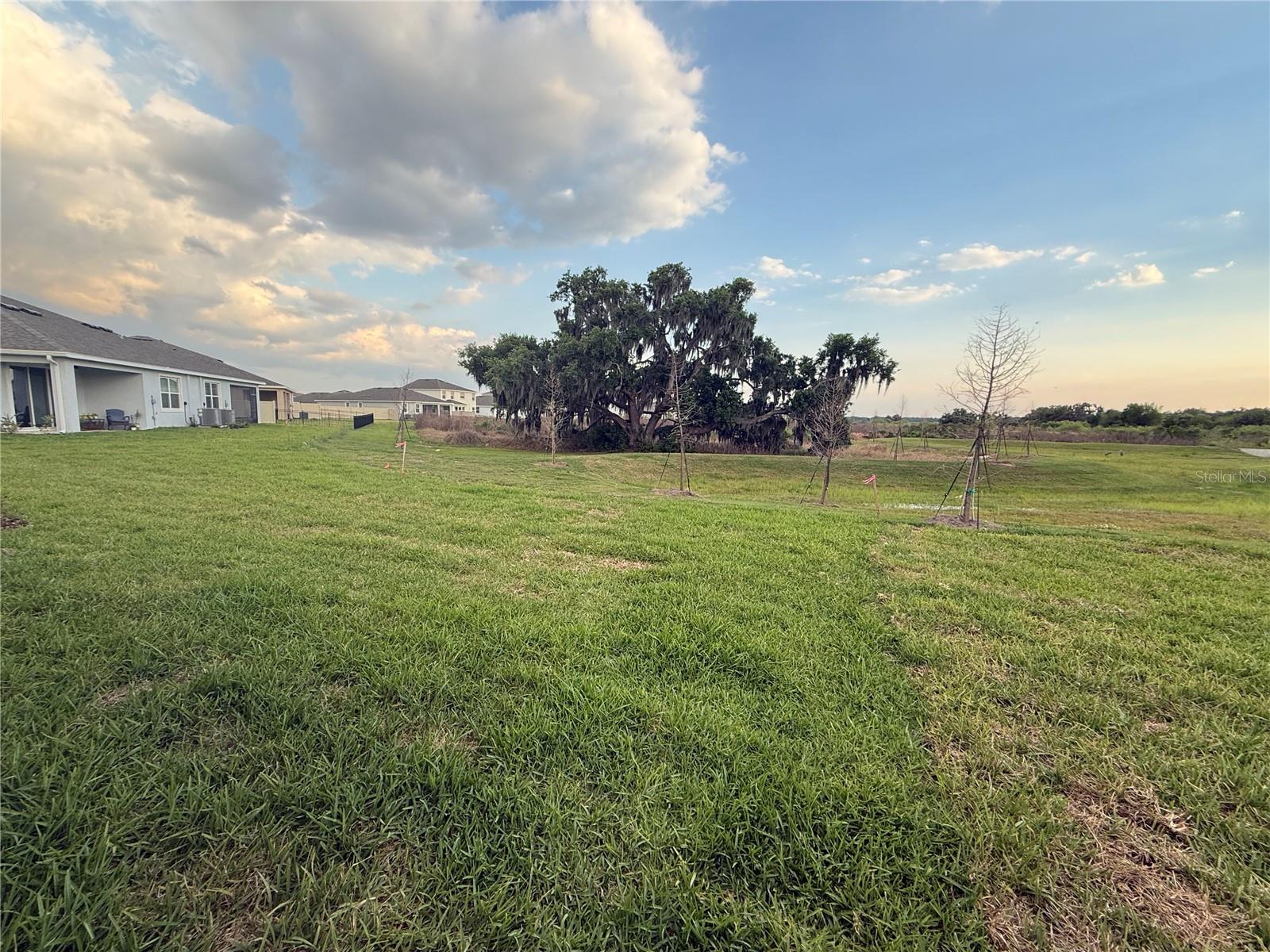 Image 32 of 34 For 4005 Westwood Fields Loop 4005