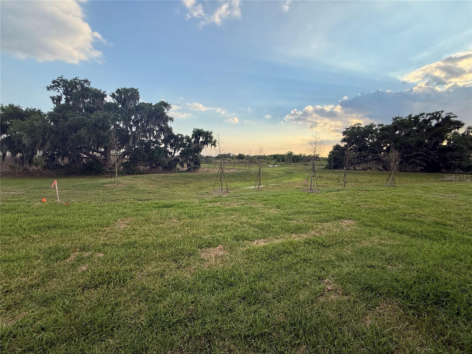 Image 33 of 34 For 4005 Westwood Fields Loop 4005