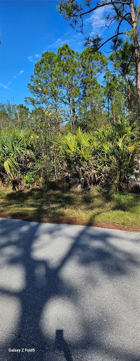 Image 3 of 4 For 27396 Corinthian, Dr