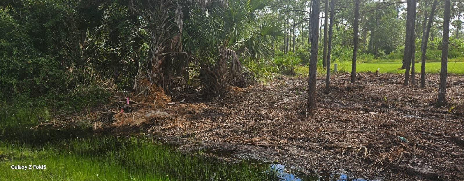 Image 4 of 4 For 27396 Corinthian, Dr