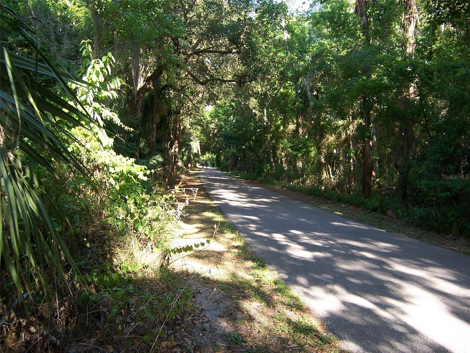 Image 22 of 26 For 103 Golden Crest Court