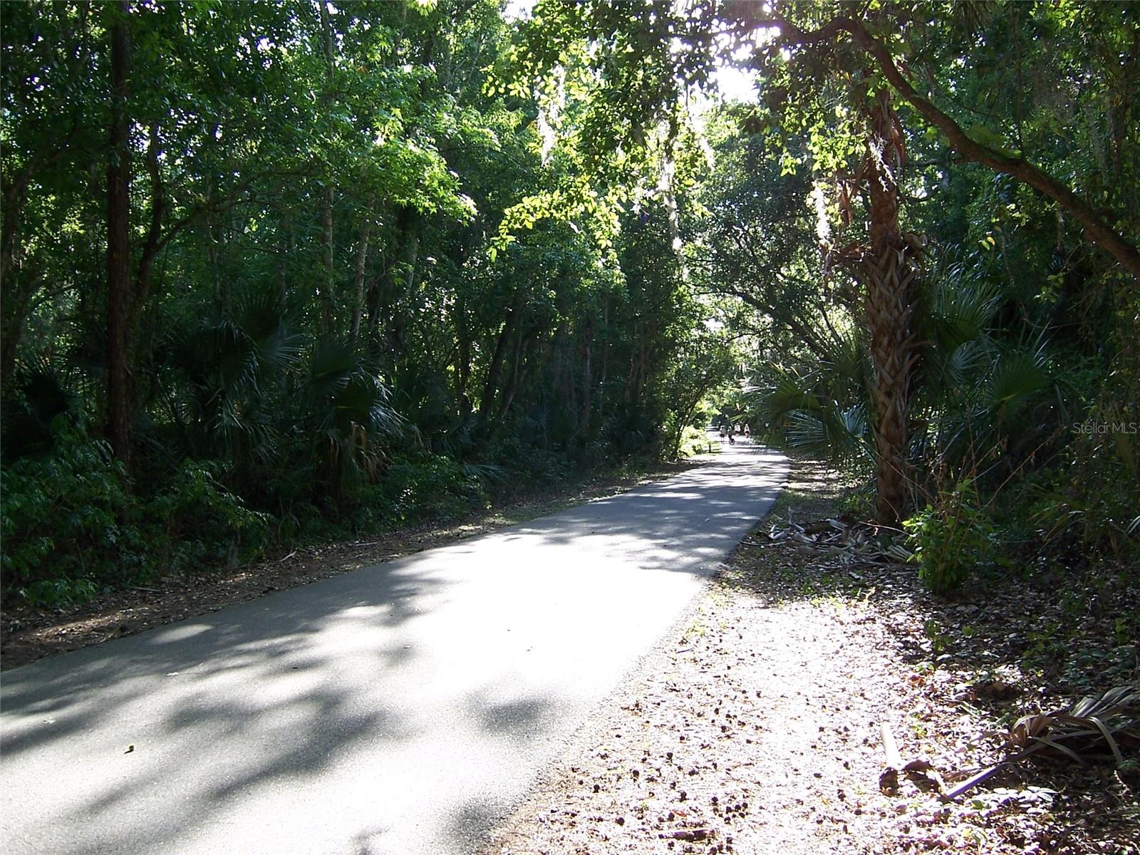 Image 23 of 26 For 103 Golden Crest Court