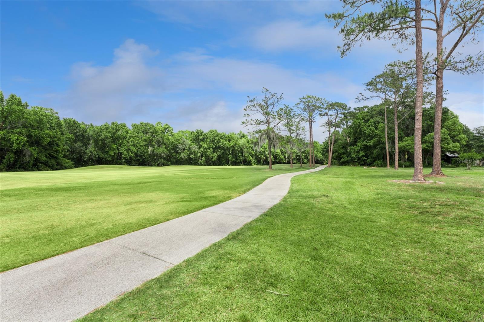 Image 33 of 40 For 1200 Royal Oak Drive