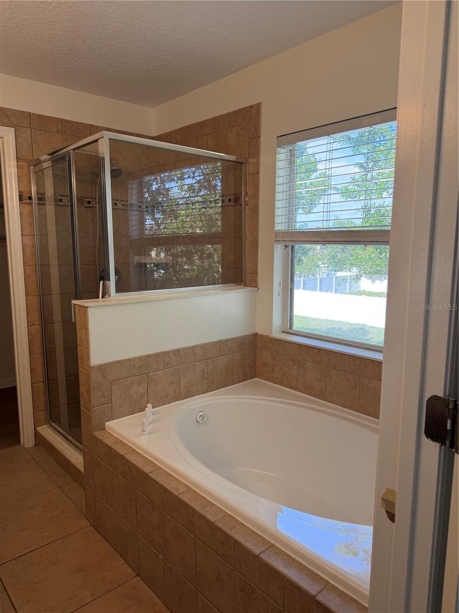 Image 15 of 21 For 11939 Citruswood Drive