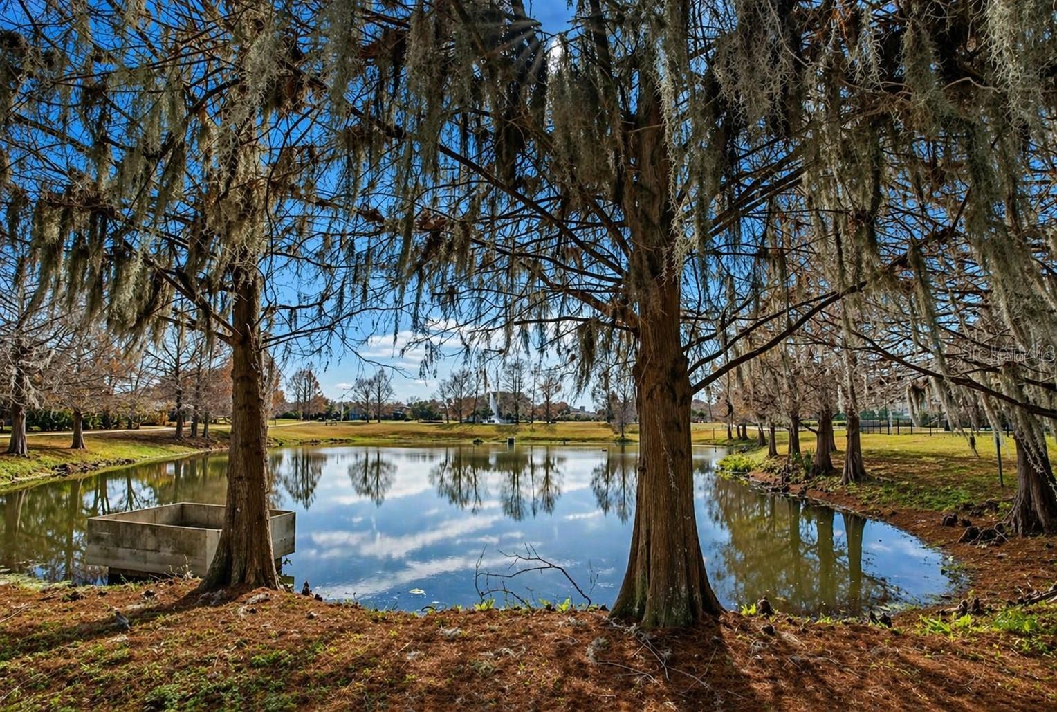 Image 48 of 57 For 207 Tavestock Loop