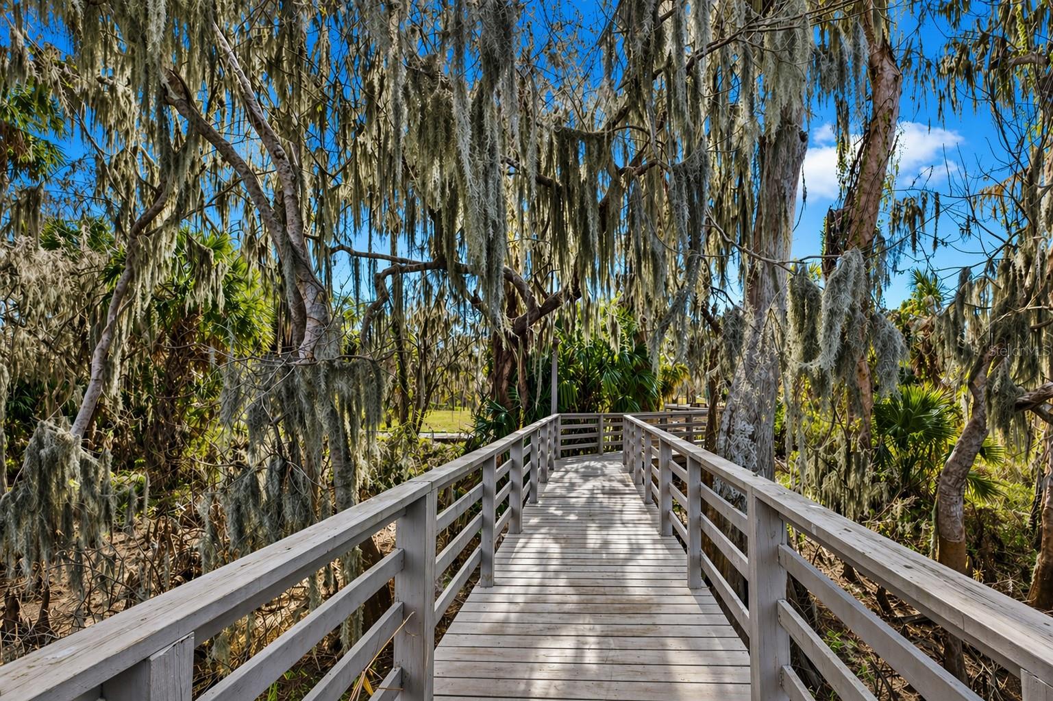 Image 50 of 57 For 207 Tavestock Loop