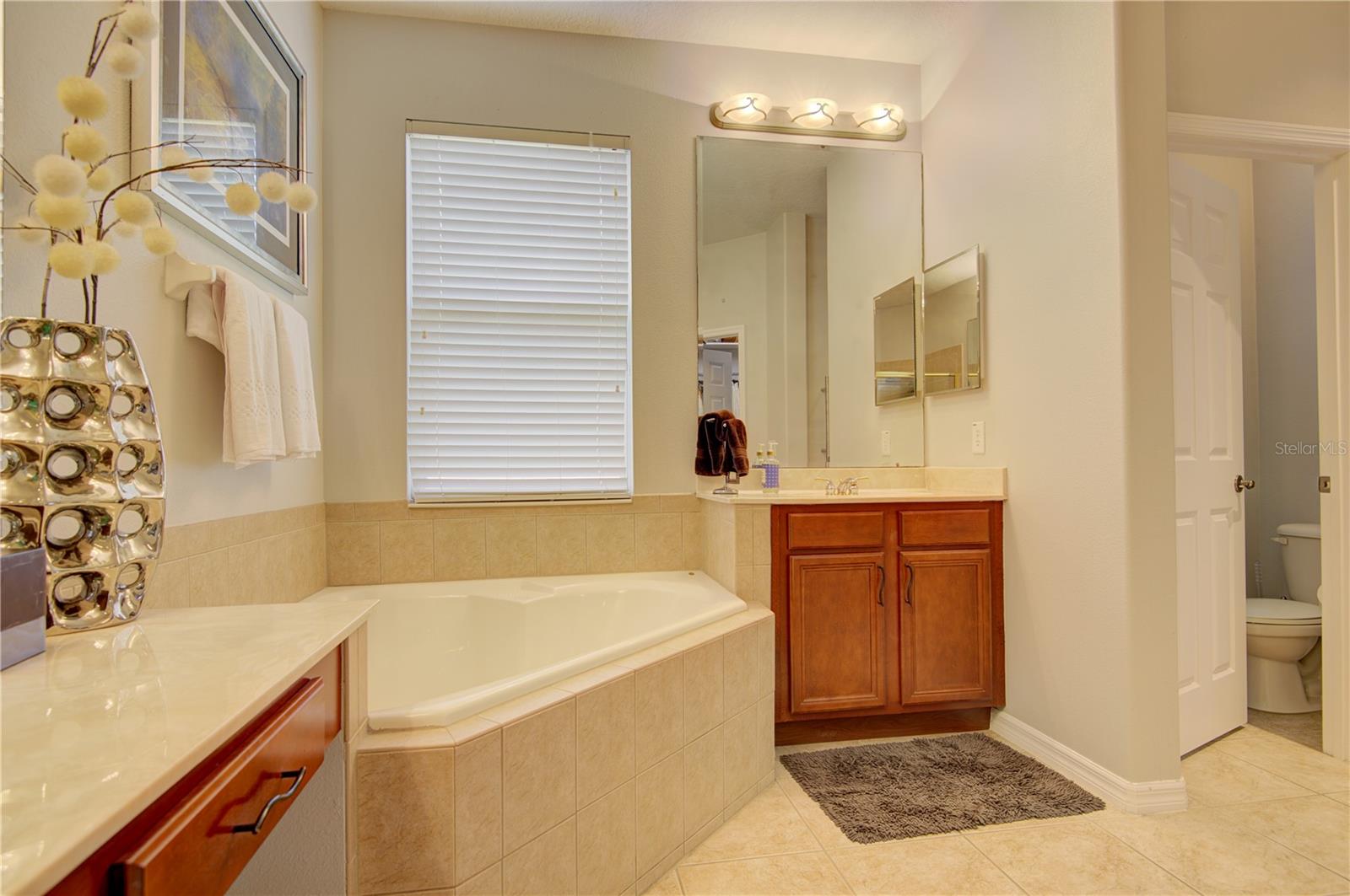 Image 39 of 75 For 1185 Stellar Drive