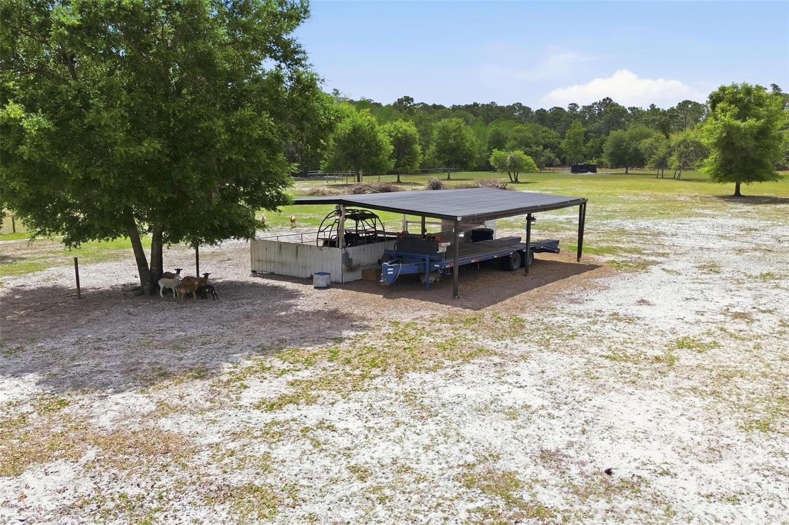 Image 38 of 47 For 345 Cypress Isles Road