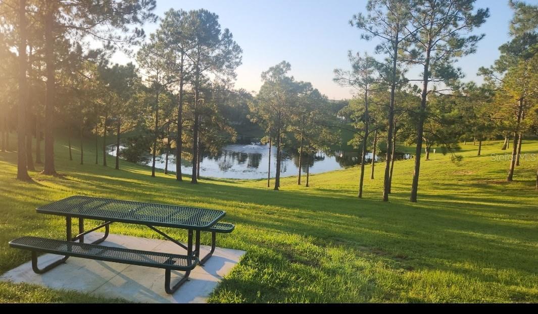 Image 47 of 53 For 15816 Oakland Court