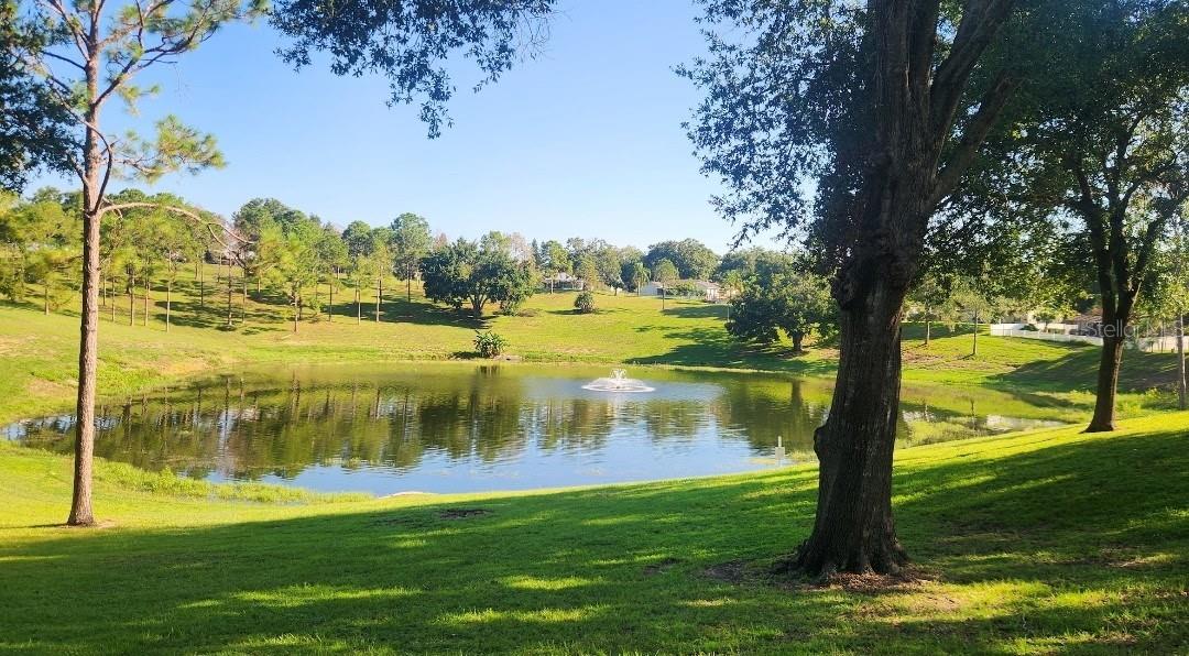 Image 51 of 53 For 15816 Oakland Court