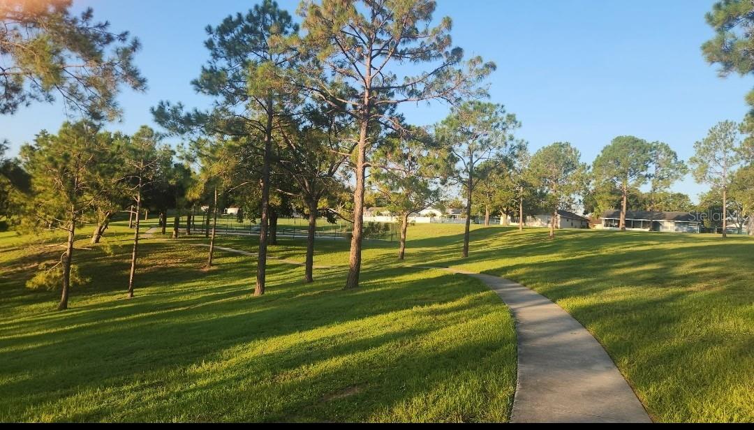 Image 53 of 53 For 15816 Oakland Court