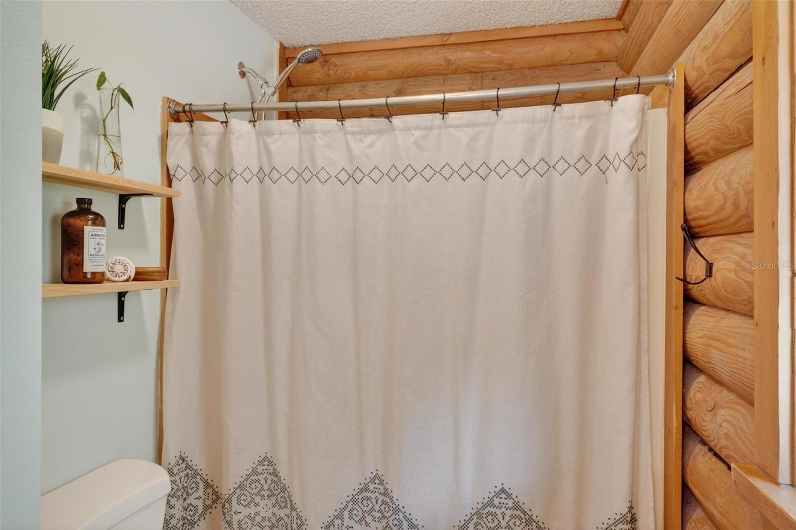 Image 47 of 80 For 213 Buena Vista Street