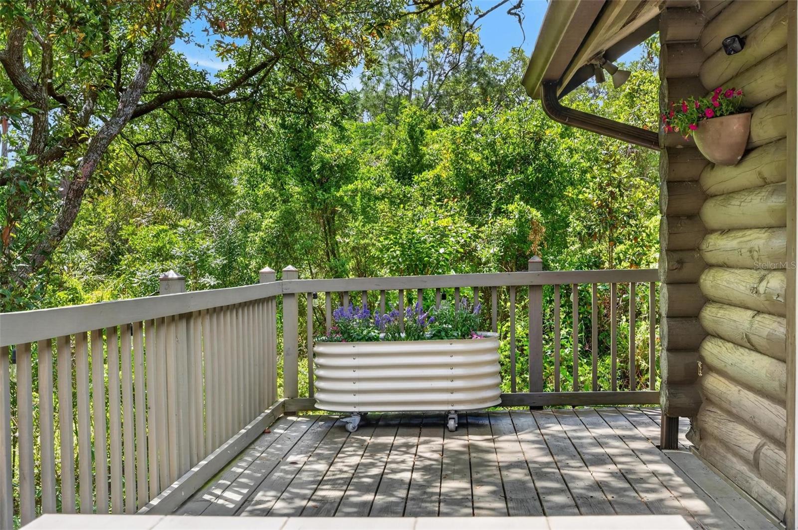 Image 67 of 80 For 213 Buena Vista Street