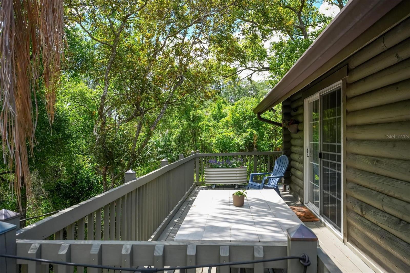 Image 76 of 80 For 213 Buena Vista Street