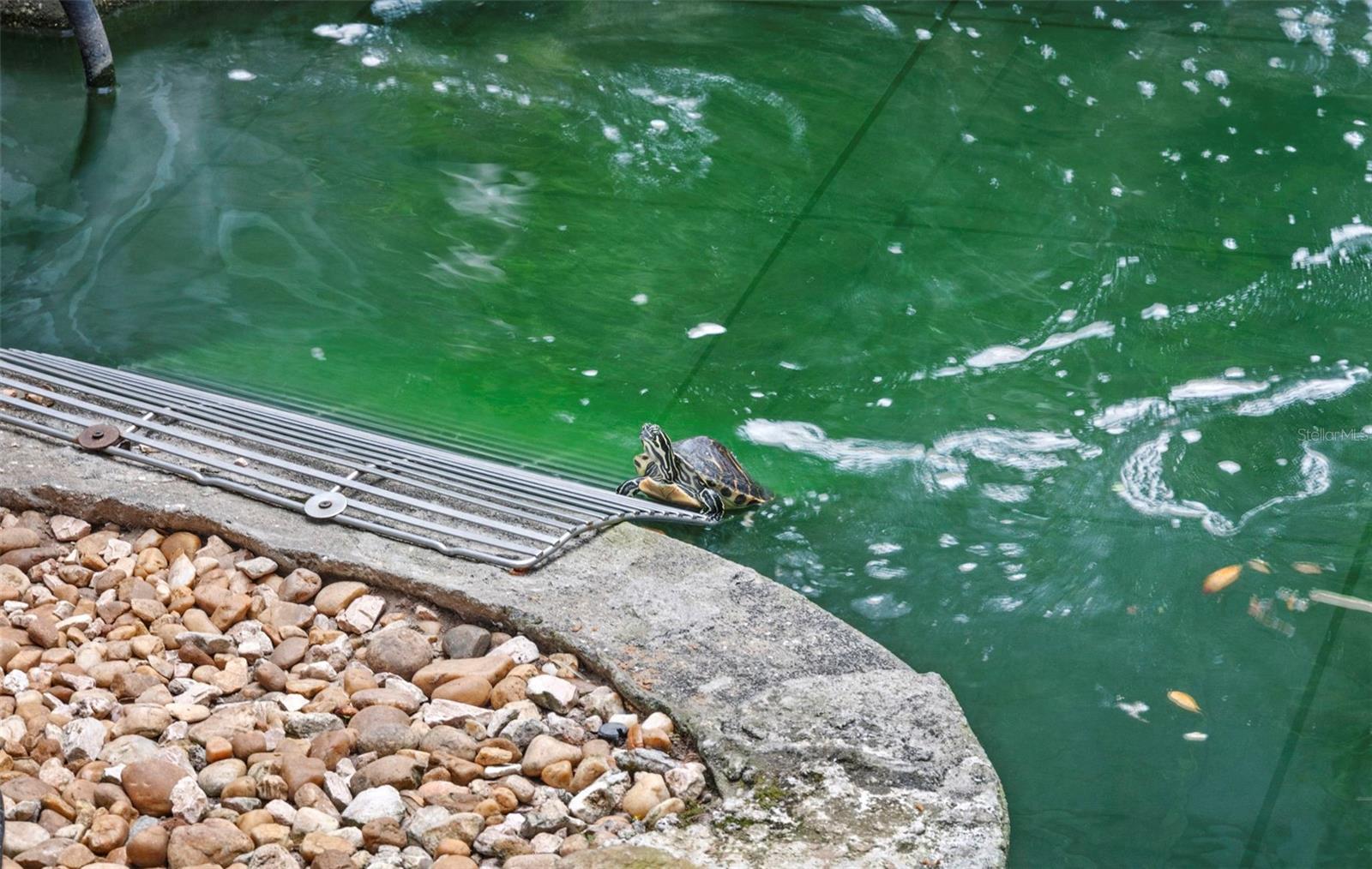 Image 46 of 55 For 3884 Goshawk Place