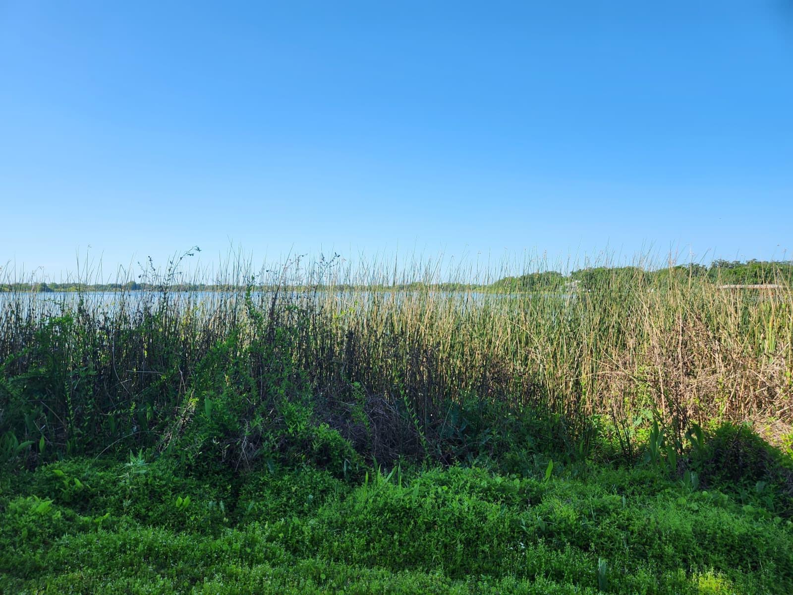 Image 10 of 17 For 3898 & 3910 Washington Street