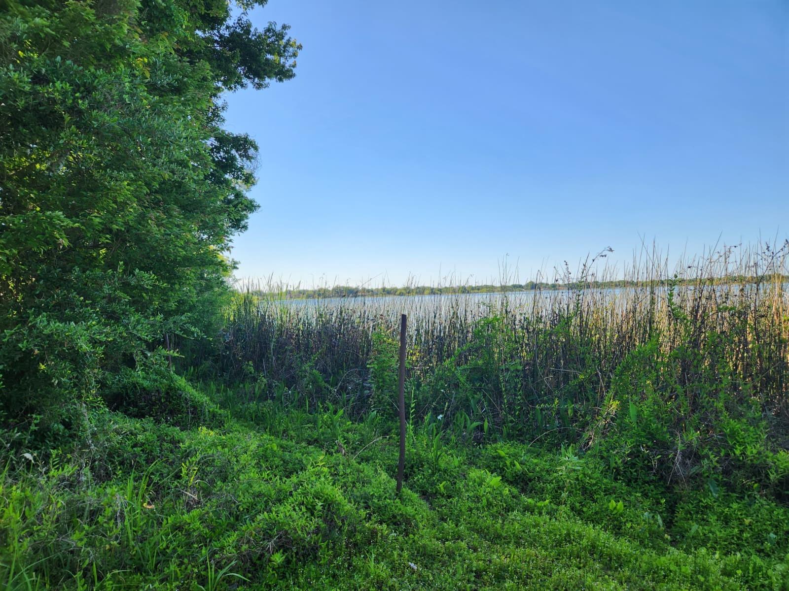 Image 11 of 17 For 3898 & 3910 Washington Street