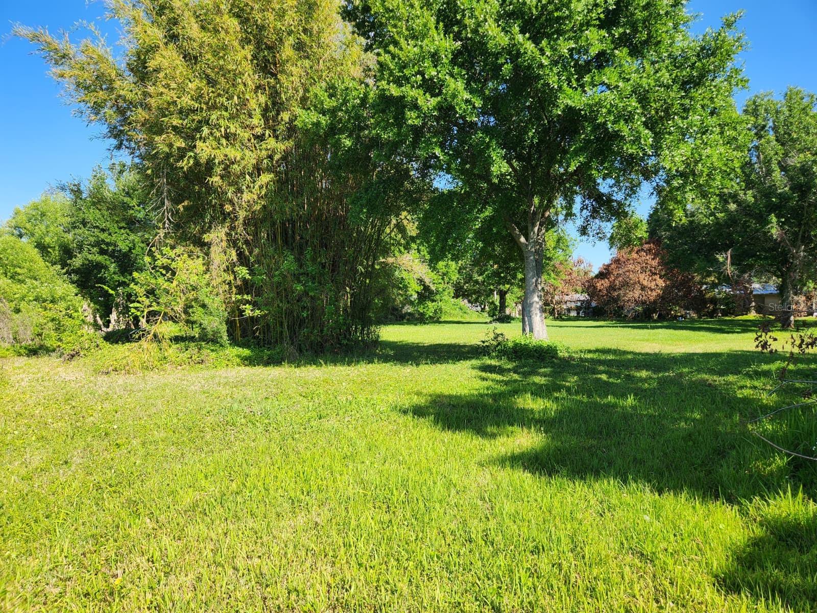 Image 12 of 17 For 3898 & 3910 Washington Street