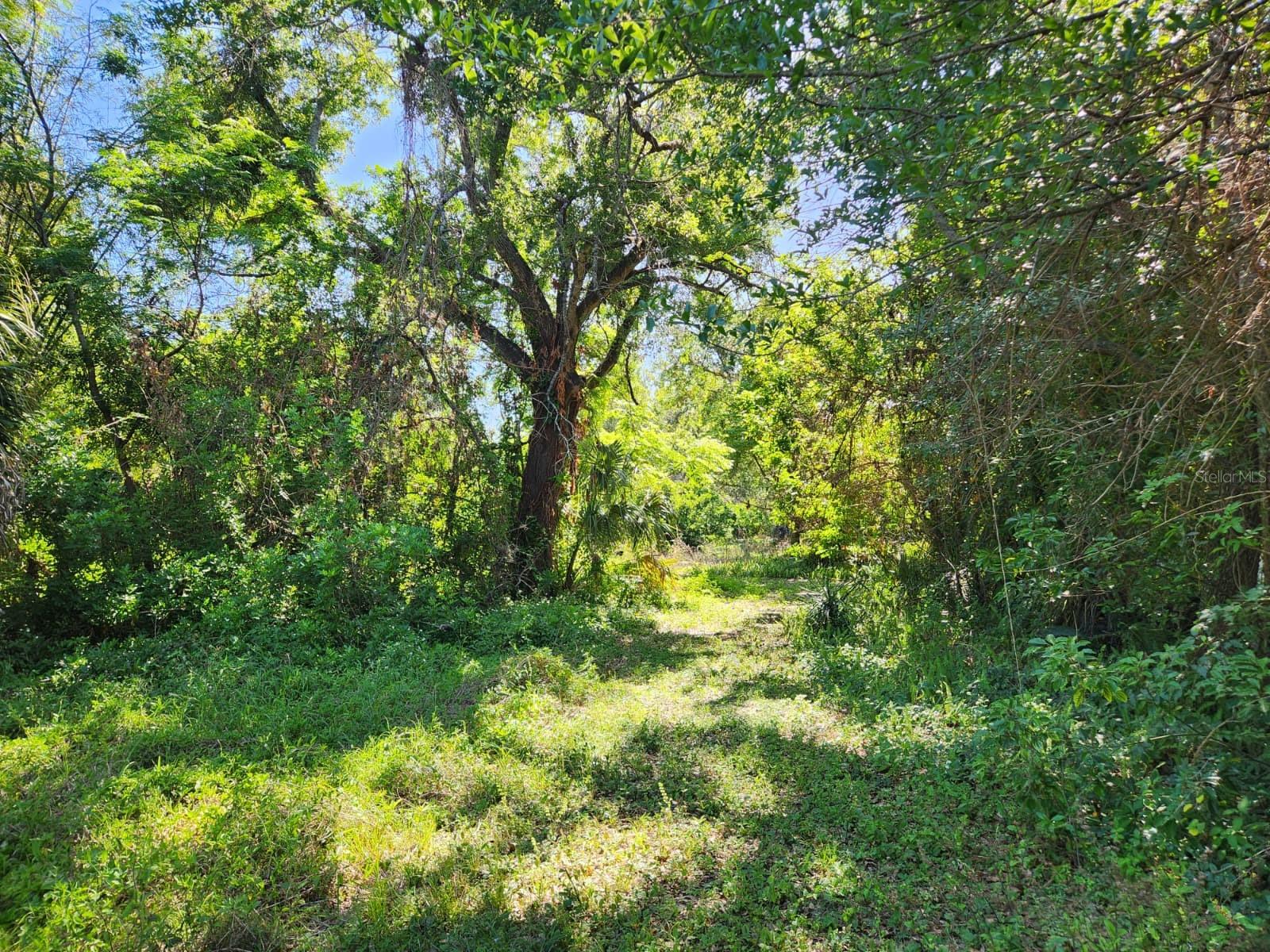 Image 13 of 17 For 3898 & 3910 Washington Street