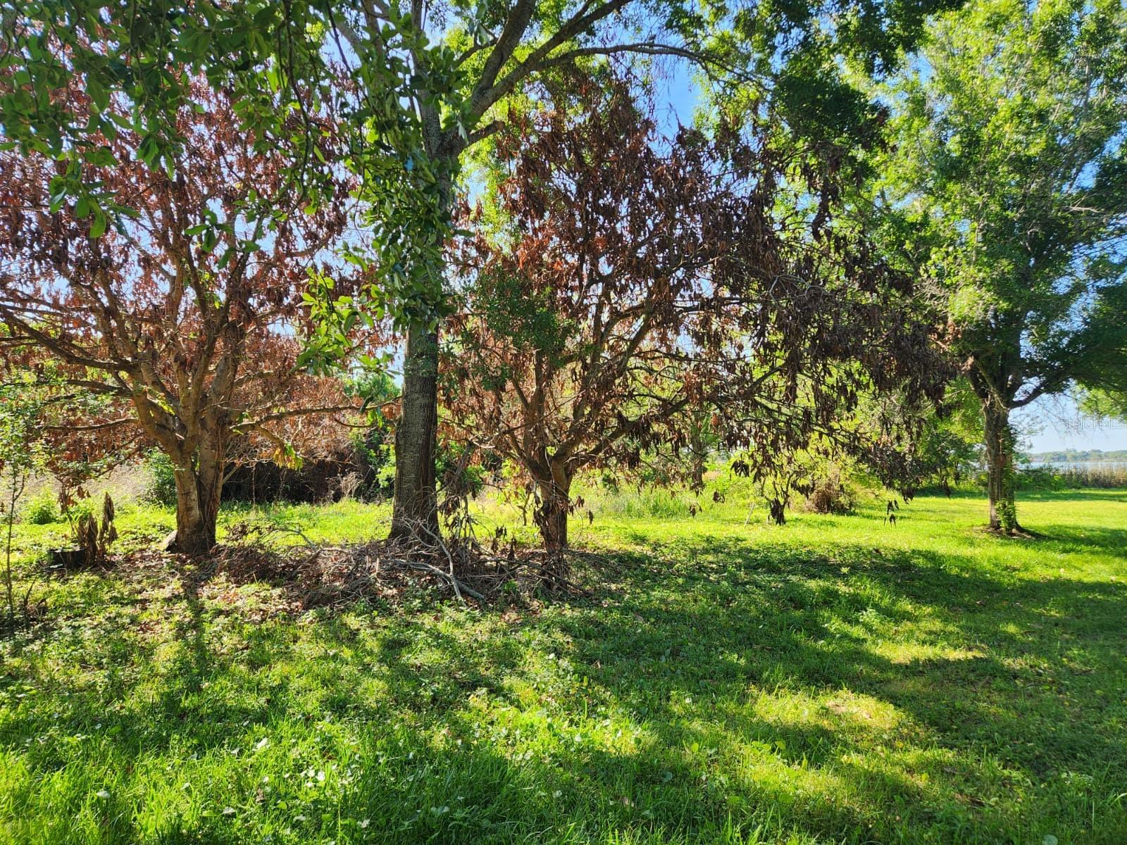 Image 3 of 17 For 3898 & 3910 Washington Street