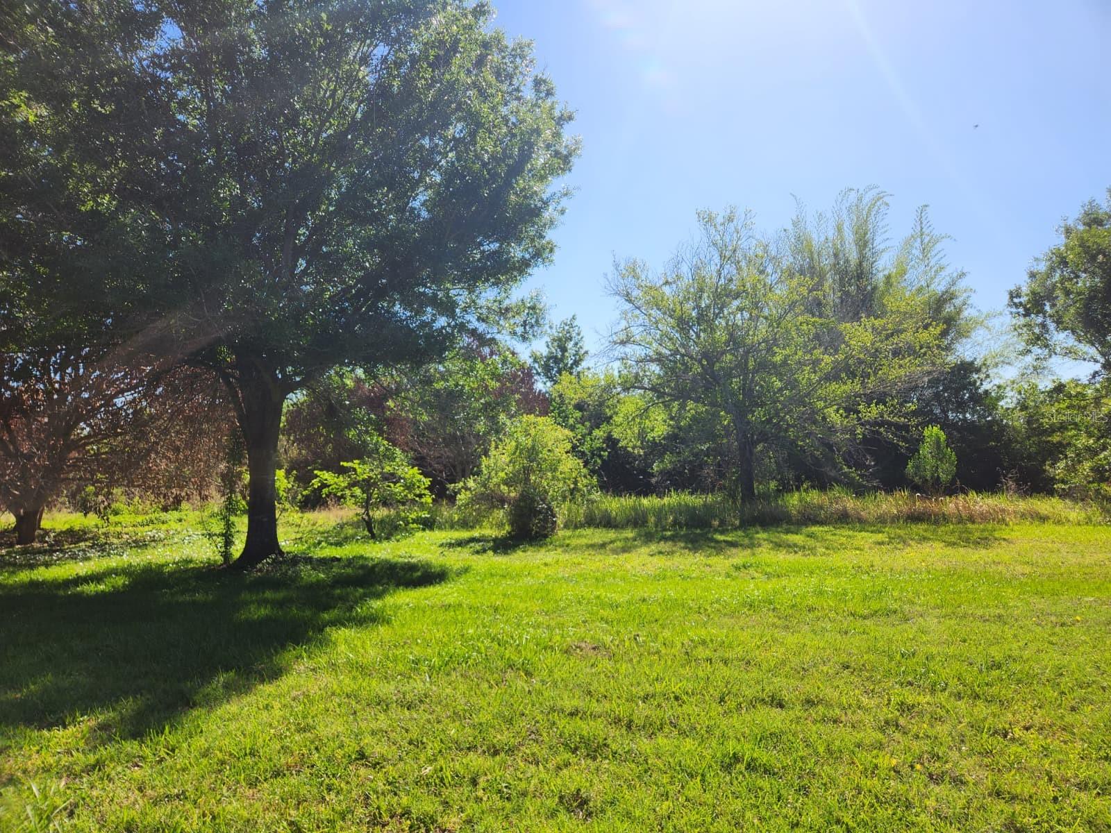 Image 4 of 17 For 3898 & 3910 Washington Street