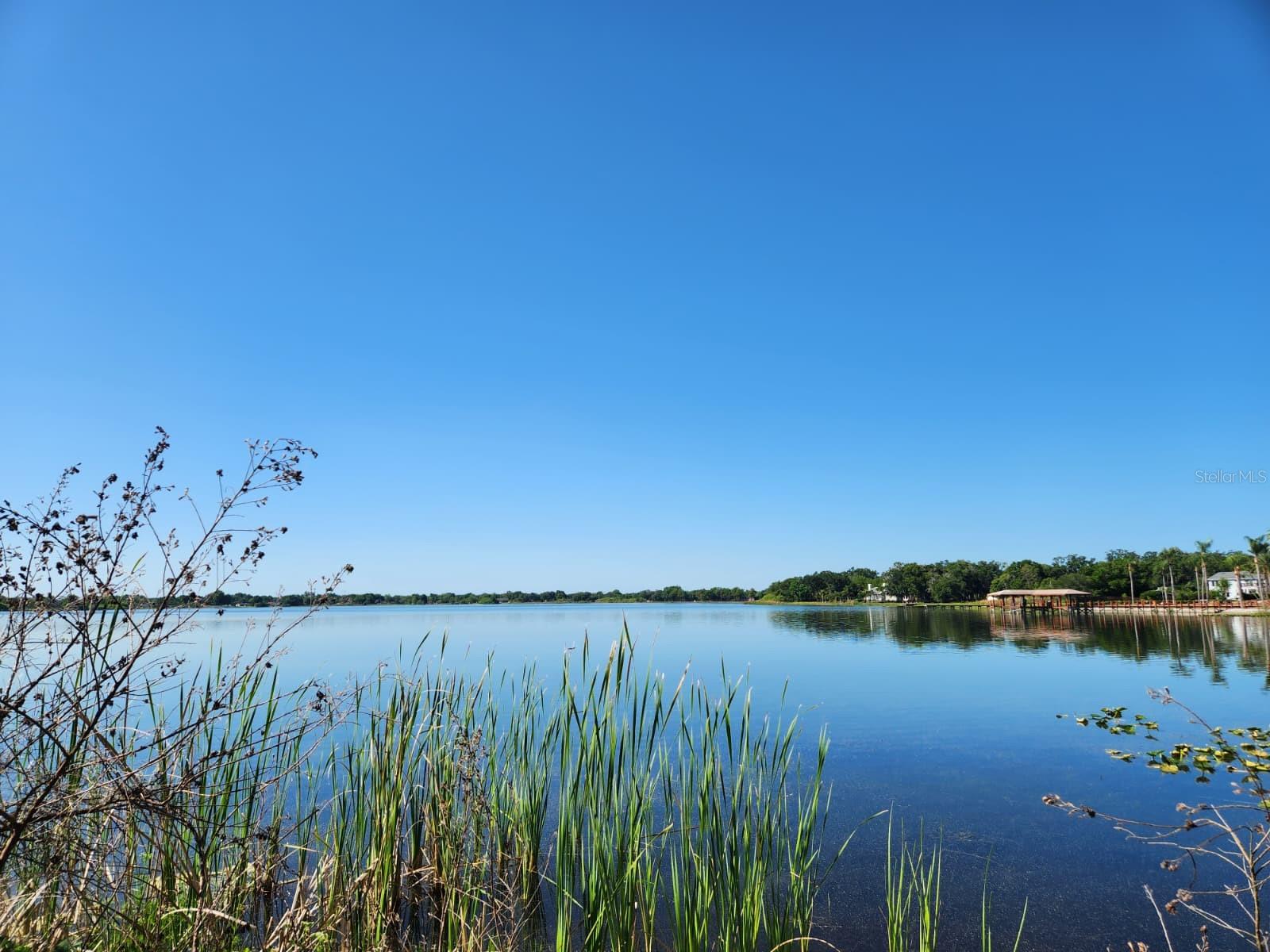 Image 5 of 17 For 3898 & 3910 Washington Street