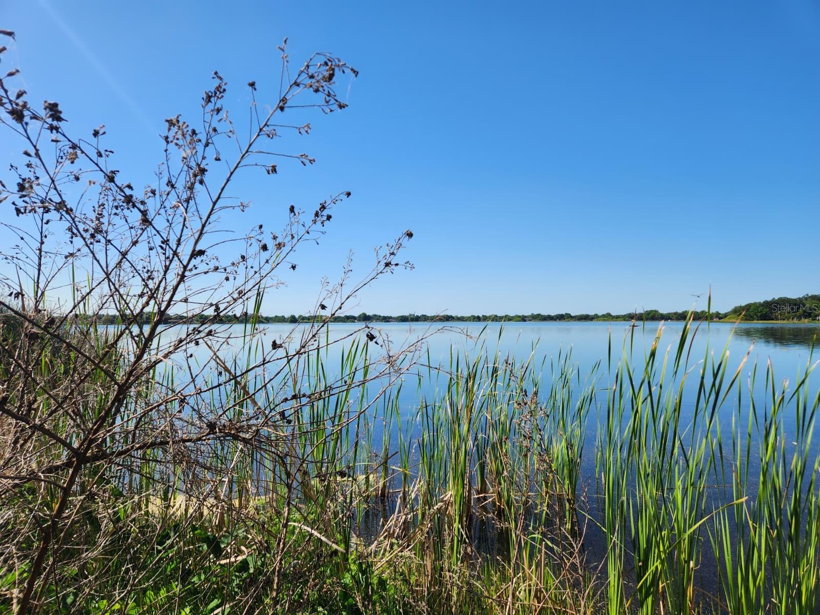 Image 6 of 17 For 3898 & 3910 Washington Street