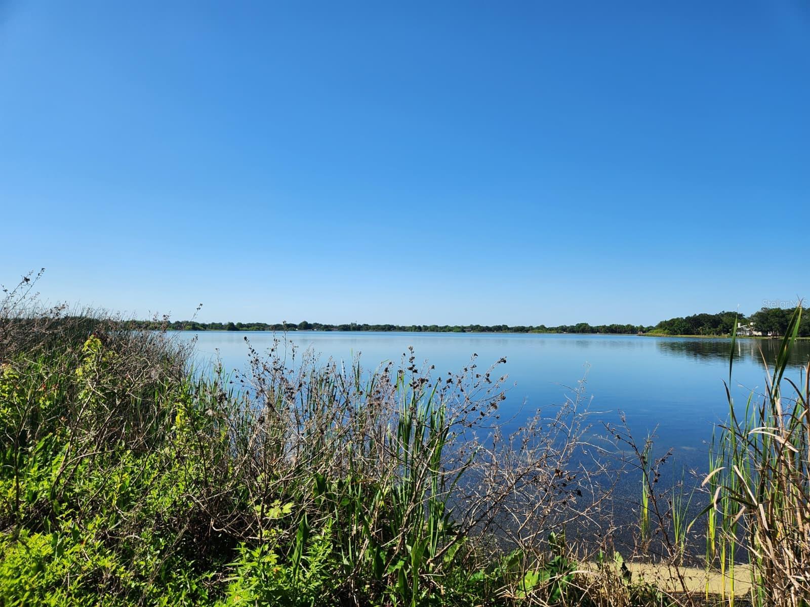 Image 7 of 17 For 3898 & 3910 Washington Street