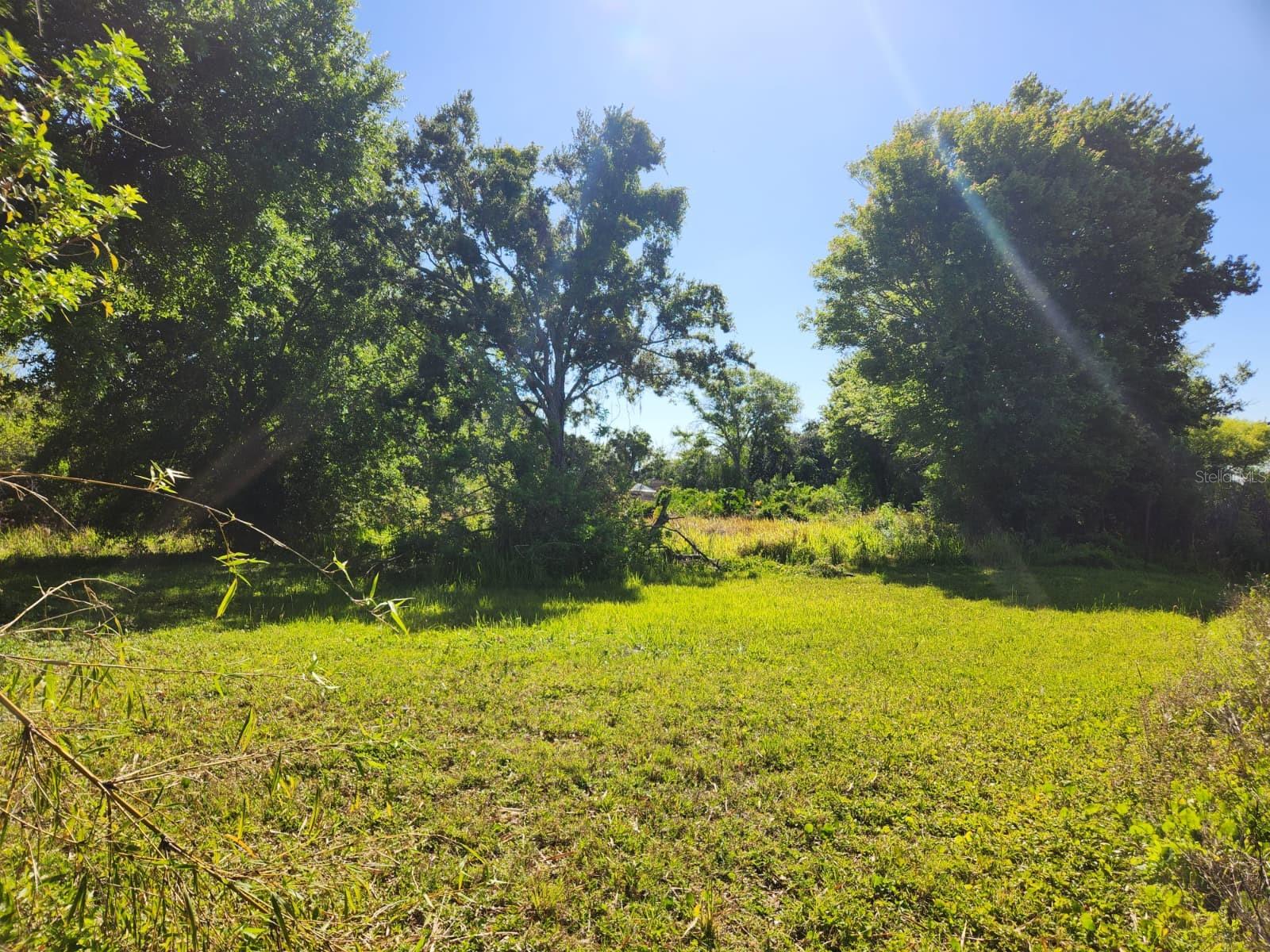 Image 8 of 17 For 3898 & 3910 Washington Street