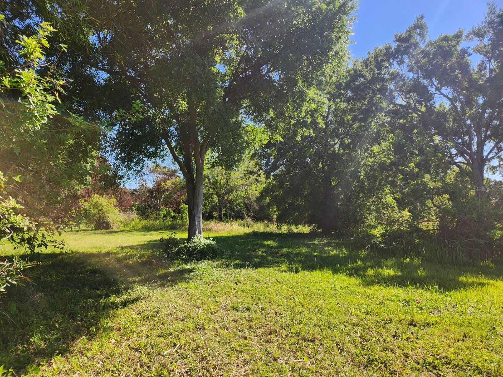 Image 9 of 17 For 3898 & 3910 Washington Street