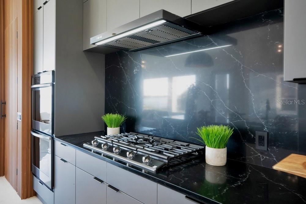 Image 20 of 96 For 8010 Firenze Boulevard