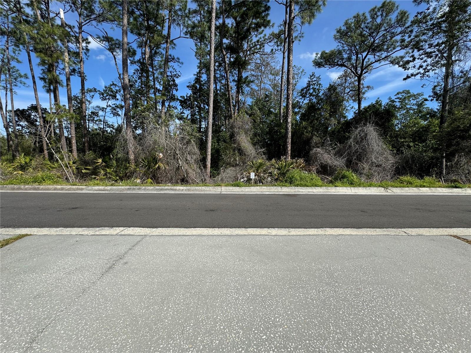 Image 23 of 30 For 12965 Langstaff Drive