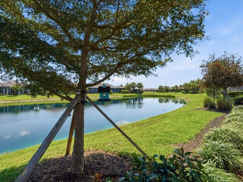 Image 34 of 46 For 6243 Plateau Court