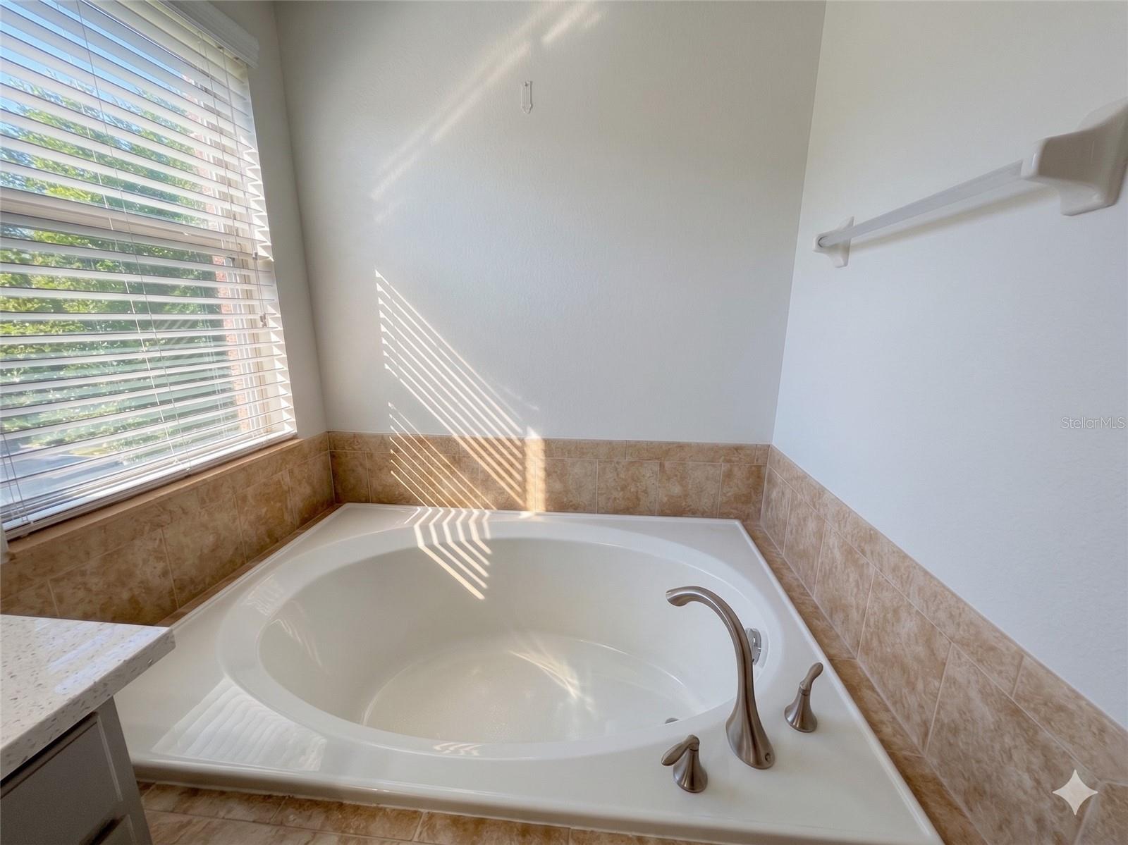 Image 24 of 80 For 2997 Buccaneer Palm Road