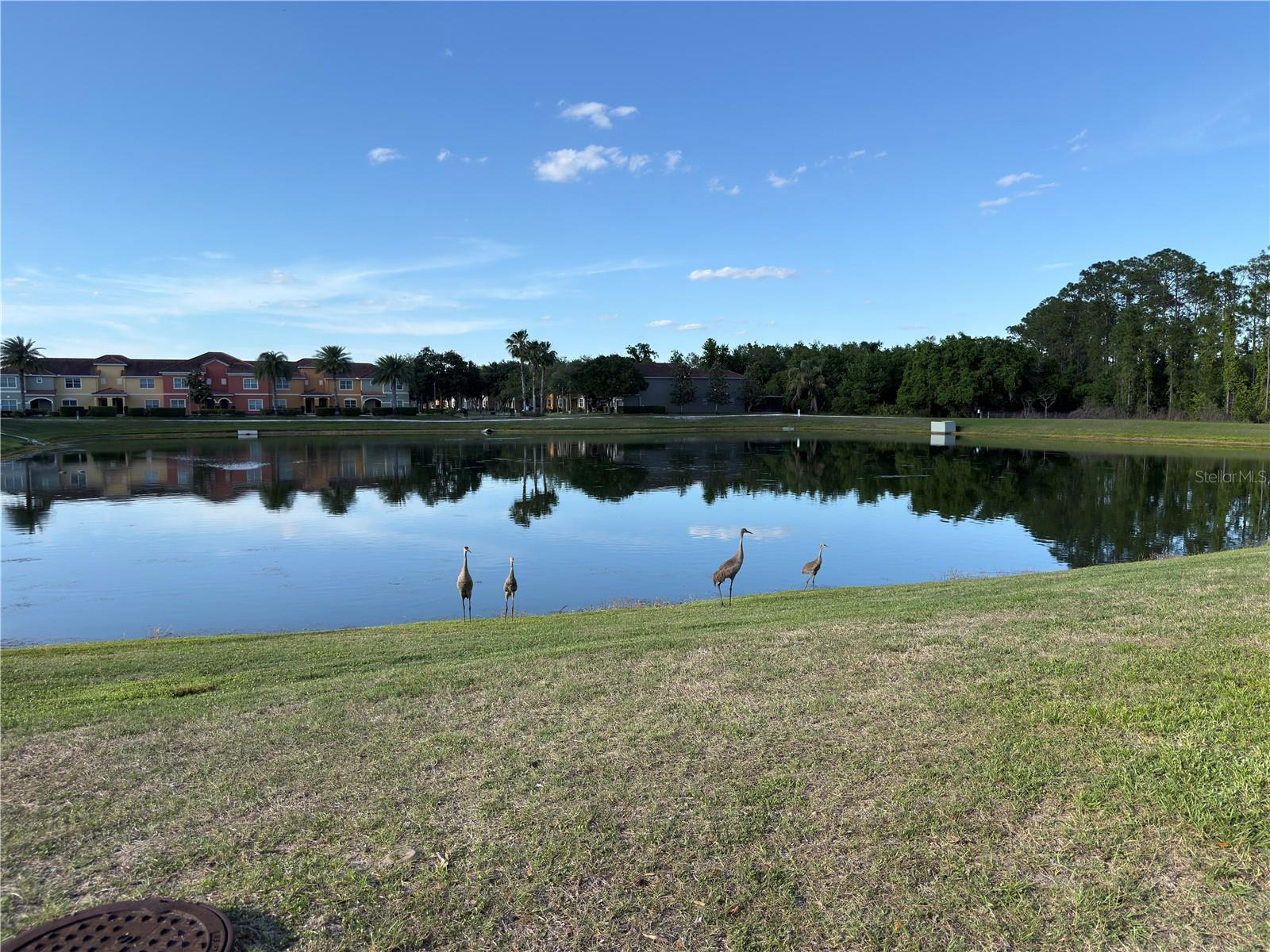 Image 46 of 80 For 2997 Buccaneer Palm Road