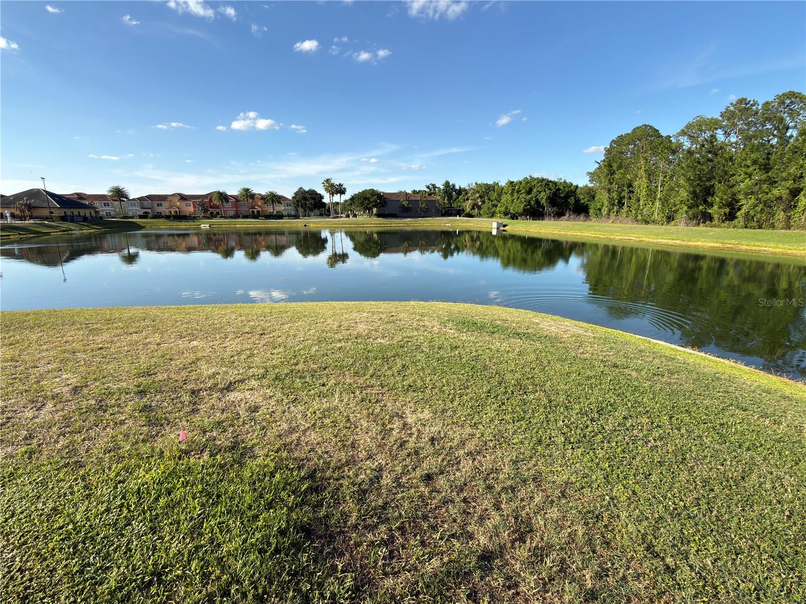 Image 47 of 80 For 2997 Buccaneer Palm Road