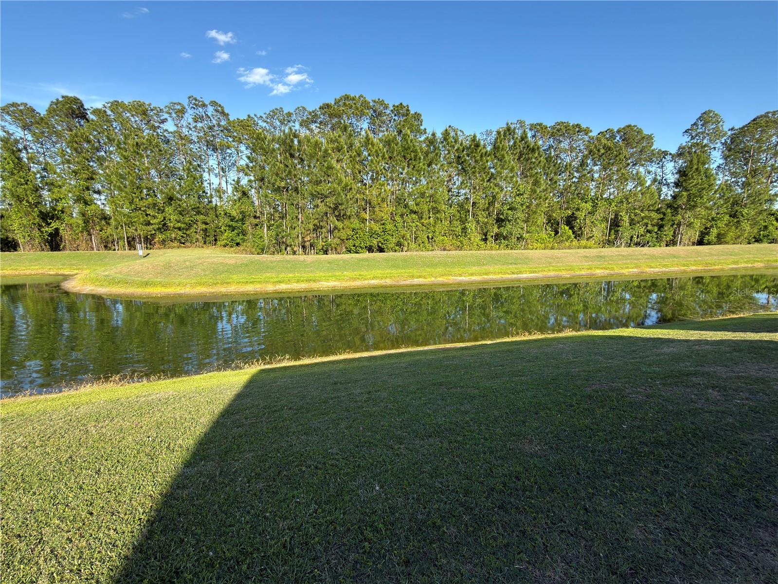 Image 49 of 80 For 2997 Buccaneer Palm Road