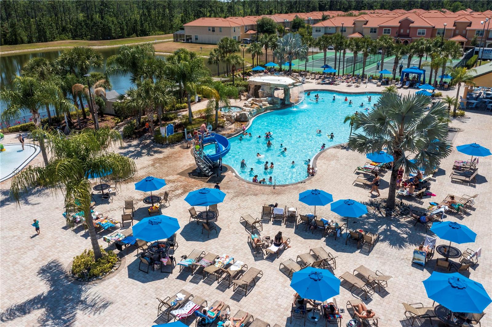 Image 56 of 80 For 2997 Buccaneer Palm Road