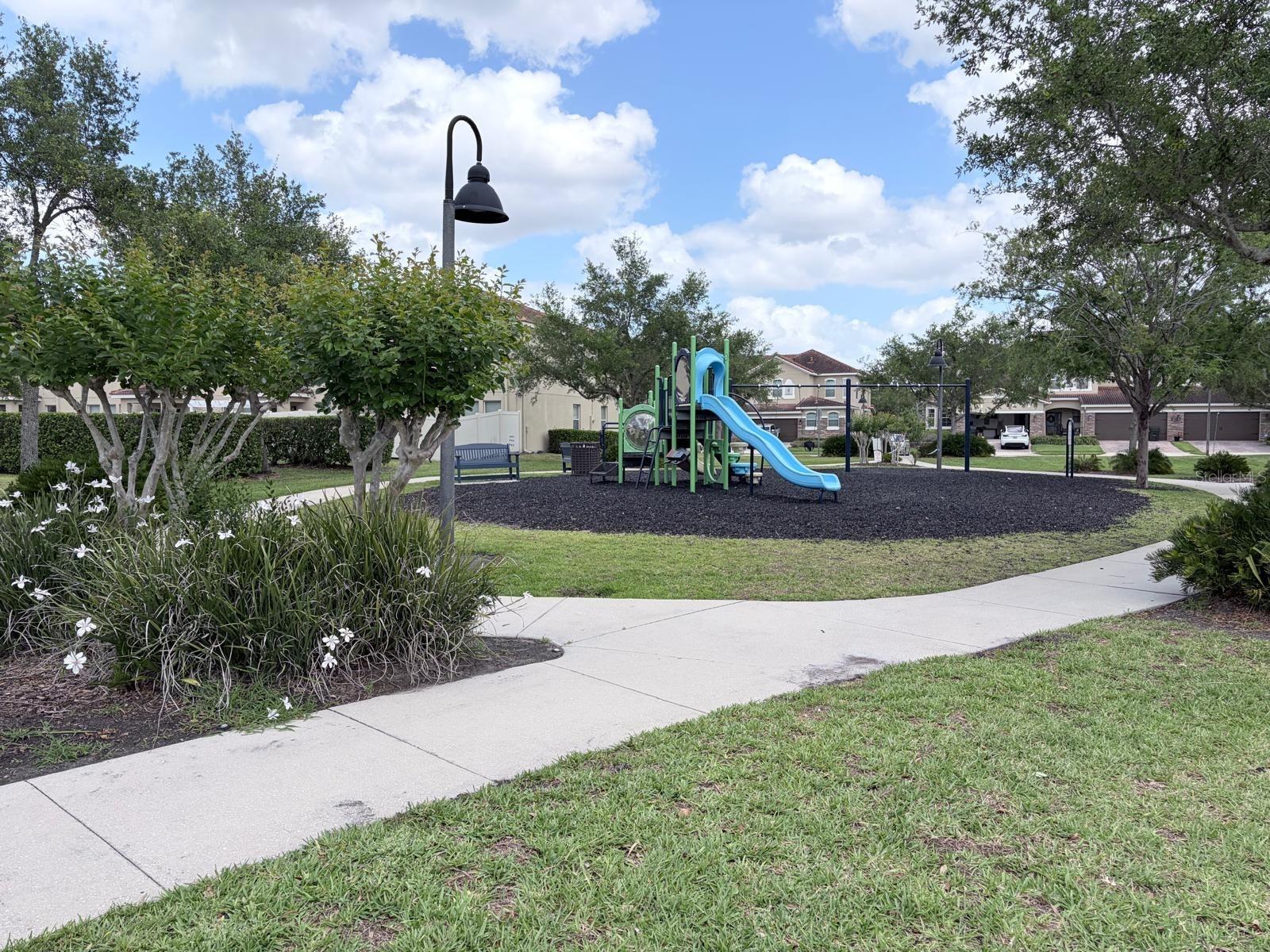 Image 24 of 24 For 309 Horsemint Lane